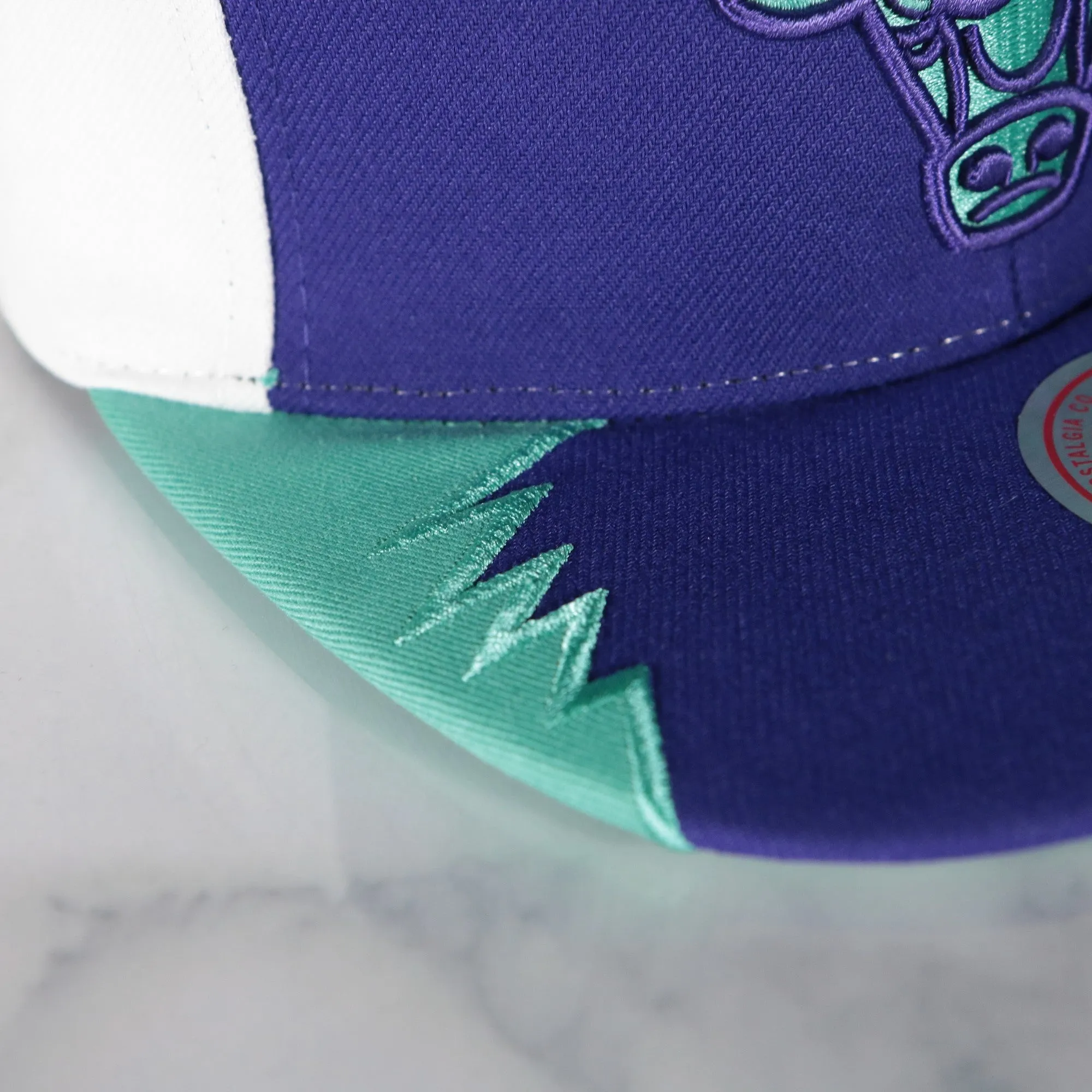 Chicago Bulls “NBA Day 5” Grape 5s Matching Snapback Hat | Snapback to match Grape 5s